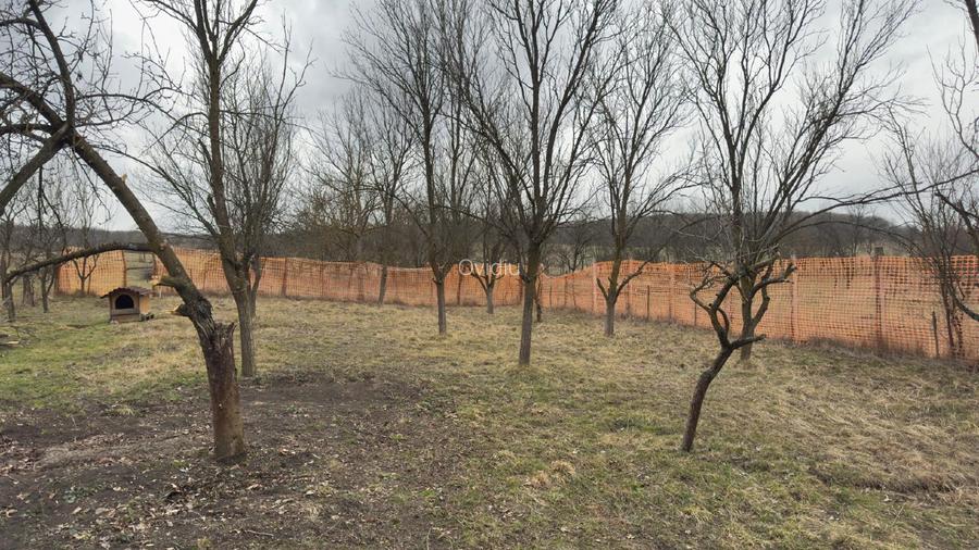 Vand 1064 mp teren intravilan Barlea judetul Cluj - 5