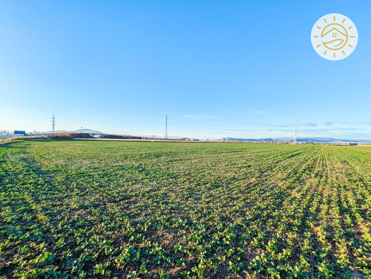 Teren intravilan 22800mp la 2km de Parcul Industrial Prejmer - 5