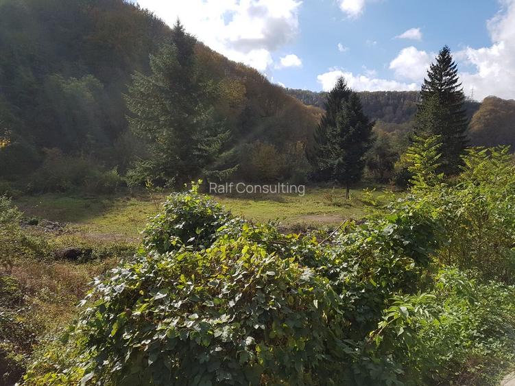 Teren intravilan ideal si de investitie, in Loc. Resita, strada Ciresului - 6