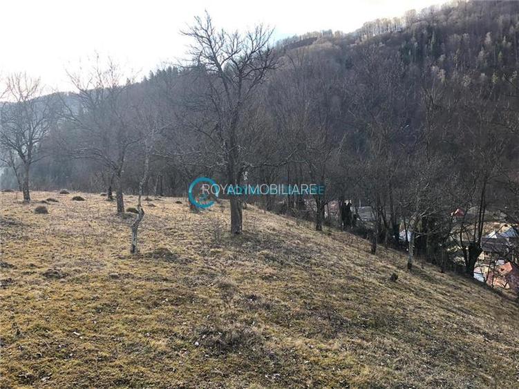 Royal Imobiliare-Vanzare Teren Zona Voineasa - 9