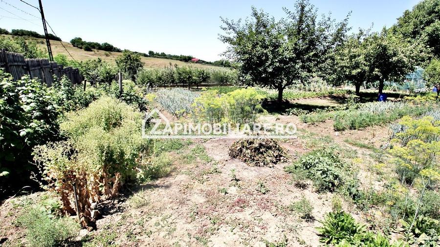 Teren intravilan 1.300 mp.zona Belvedere Targu Mures - 11