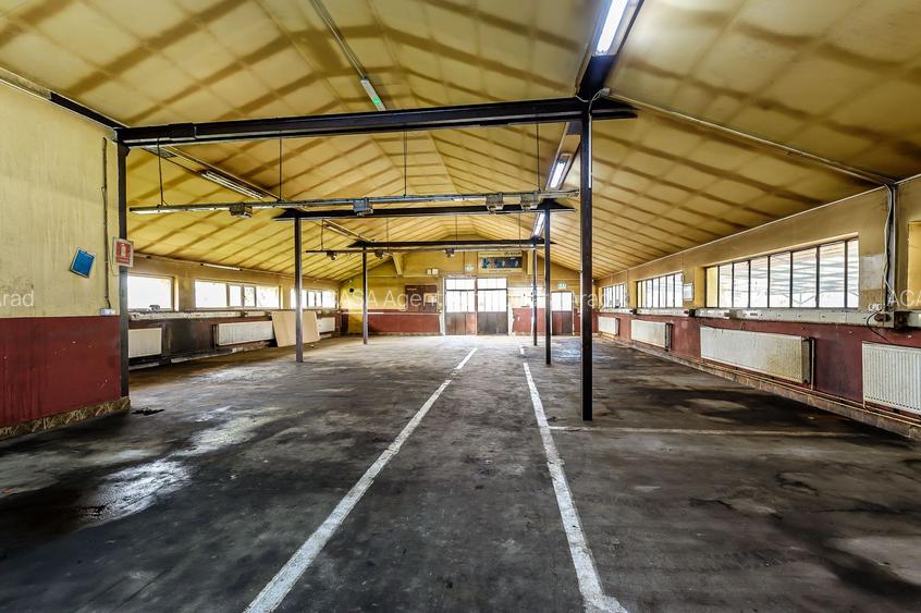 Hala industrială cu teren 10.495 mp – potențial supermarket, Lipova - 8