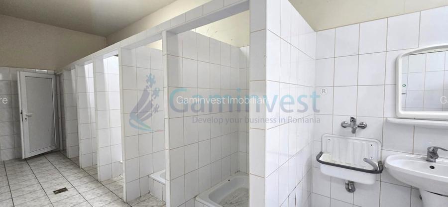 Hala de inchiriat in Marghita pentru productie si depozitare, Bihor - 16