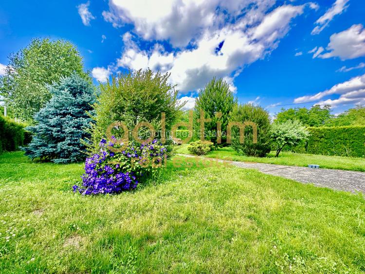 VILA INDIVIDUALA/PRETABIL AZIL/IDEAL INVESTITIE/CURTE AMENAJATA/ - 6