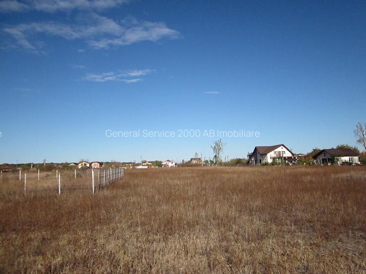 Domnesti-Teghes - 13