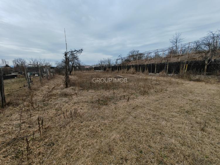 Teren constructii langa oras, Letea-Veche - 5