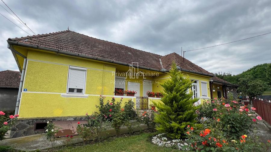 Casa cu Teren 5 000 Mp De Vanzare, Sat Voiniceni - 2