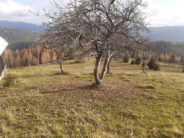 Vind casă și teren în satul Costești, comuna Albac județul Alba   - 6