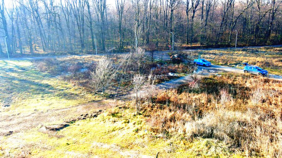 Teren intravilan, 2 fronturi, Drumul Padurea Pustnicu 65 - Greenfield - 21