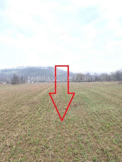 Teren de vanzare 7.123 mp intravilan, Buhusi - 13