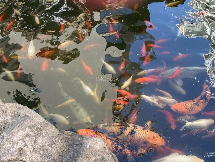 Studio in zona Herastrau - 4