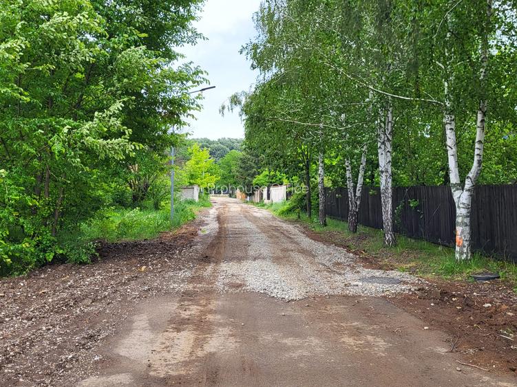 Teren Snagov – frumusețea calmă a lacului și liniștea pădurii. - 7