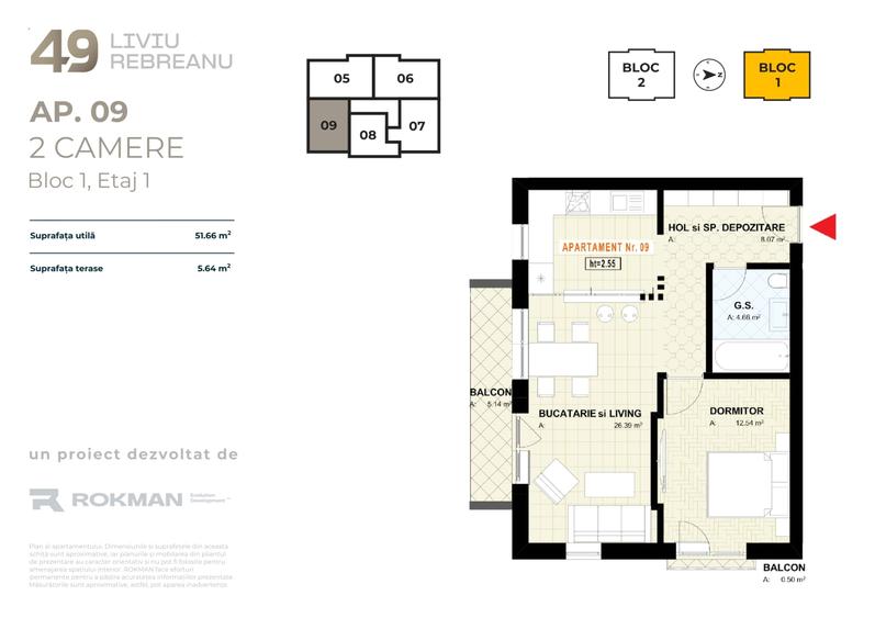 49 LIVIU REBREANU - 10