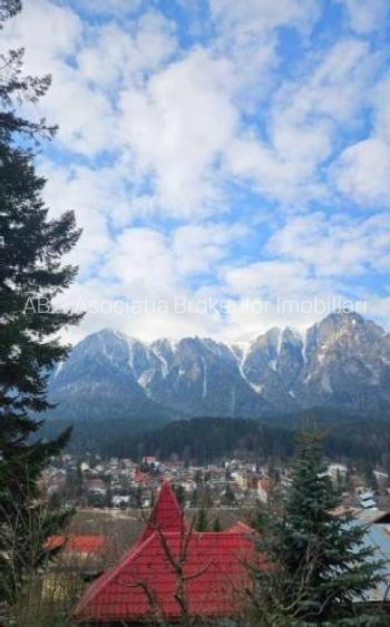 Vila Busteni vedere exceptionala! - 2