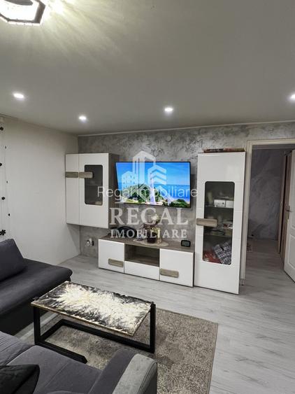 Două case individuale de vânzare în Teliuc –ideale pentru două familii - 2