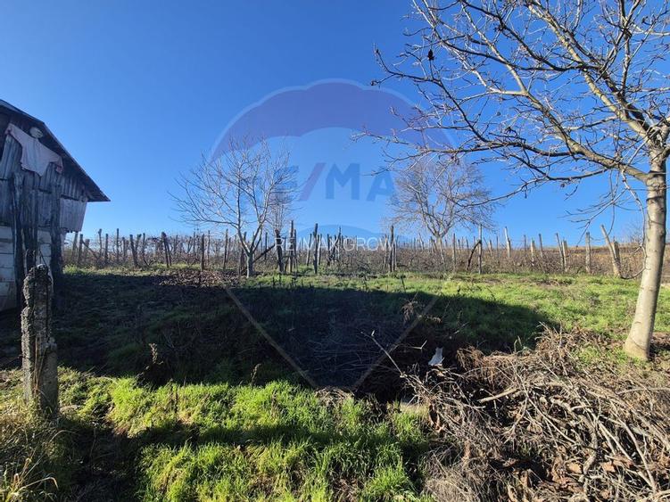 Casă de vânzare cu 4 camere si anexe in  Horgești-Recea - 12