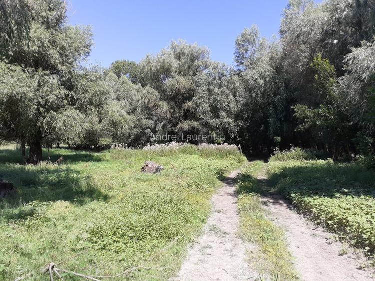 OCAZIE; teren MAHMUDIA 12euro/m.p. Suprafata 5000 m.p. Deschidere la Dunare 48m - 6