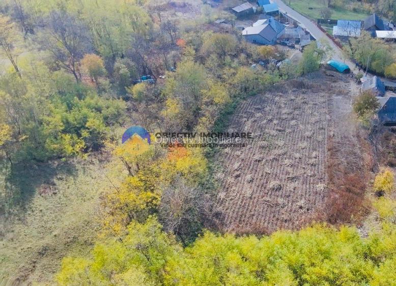 Teren de vânzare 11.766 mp – Costișa, județul Neamț - 6