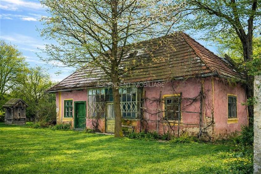 FILM! Oaza ta de liniste pe 4.900mp teren intravilan, Tufalau, Covasna - 5