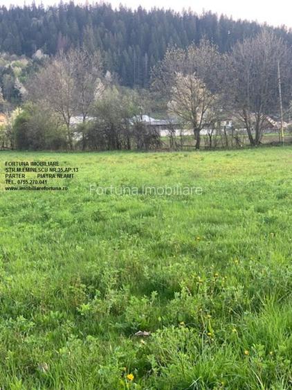 Teren Vadurele, Al.cel Bun - 4