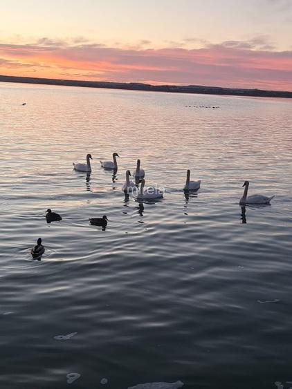 Vând apartament Mamaia  - 14