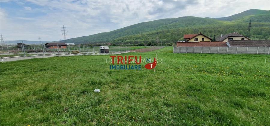 Teren de vis la liziera pădurii – liniște, natură și aer cur - 5