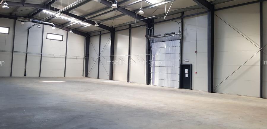 Spatiu de depozitare si productie Mogosoaia - 4