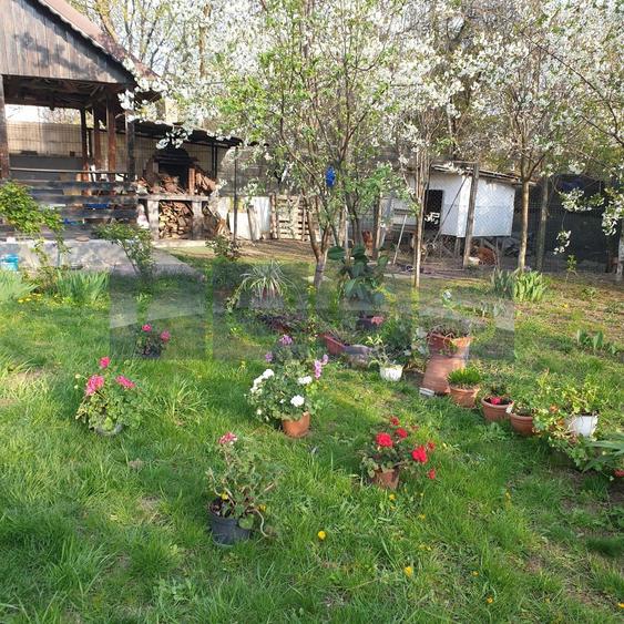 VANZARE VILA | P+1+M | ZONA NICOLAE GRIGORESCU - 7