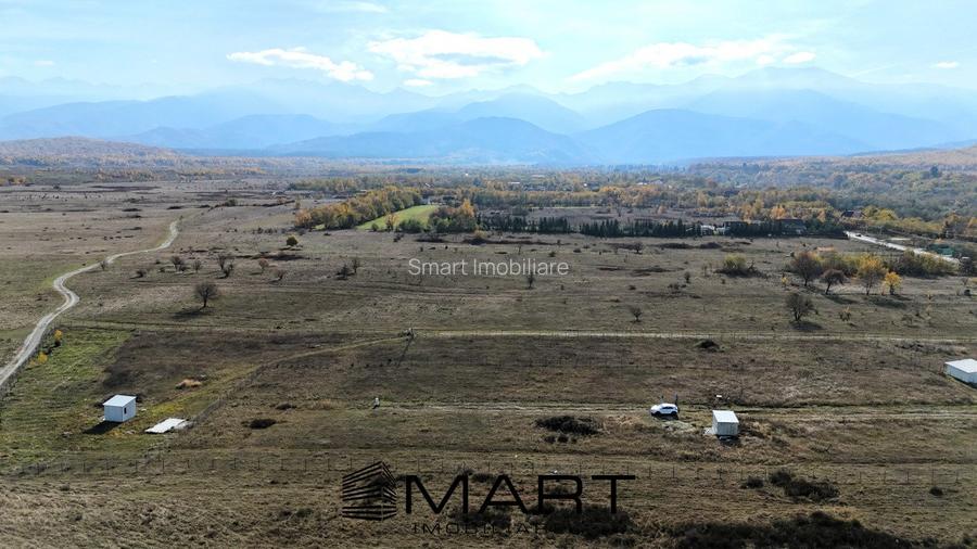 Teren 1000 mp, curent trifazic si fantana  Valea Avrigului - 2