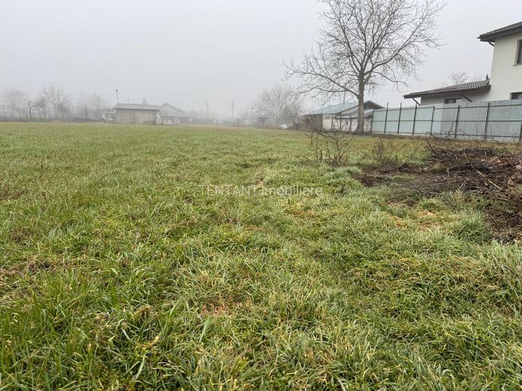 Vanzare Teren construibil 1800mp Magurele  Darasti  ilfov - 2