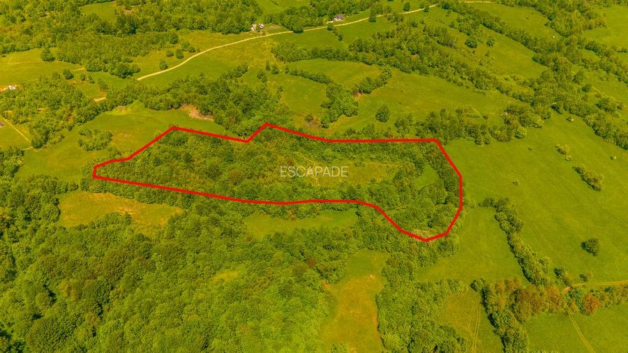 Teren ideal recreere/conectare cu natura/zona Fagaras/achitare in rate - 6