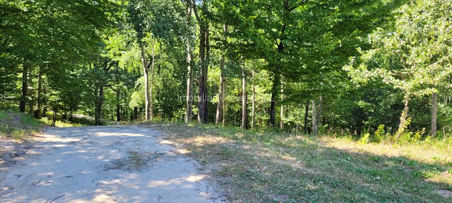 Teren livadă cu panoramă superbă Dealul Malului pentru casă sau cabană - 30