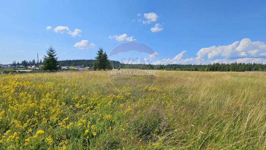 Teren parțial intravilan 30,930 mp Poiana Stampei-DN E58, Suceava - 9