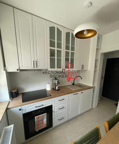 Apartament 2 camere Dristor Camil Ressu - 10