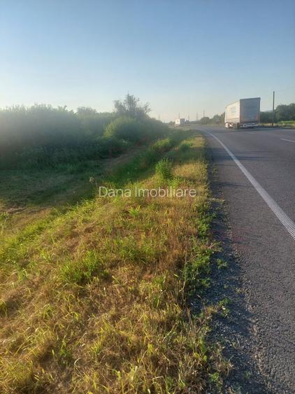 TEREN DE VÂNZARE-32480 mp CARANSEBEȘ JUD.CS,  0% COMISION - 5