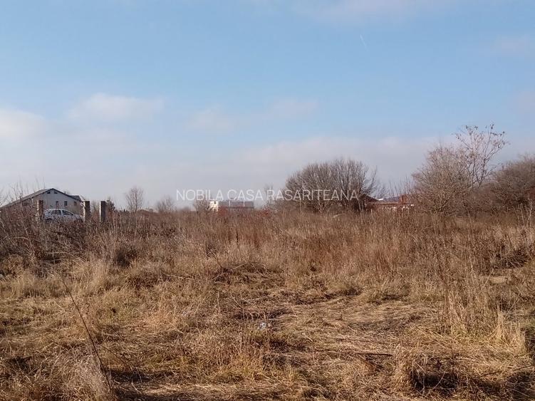 teren superb cu  deschidere la lacul Cernica - 6