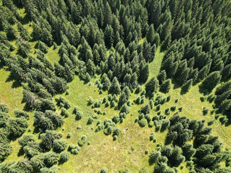 De vanzare teren Extravilan(faneata)-Belis,Cluj - 2