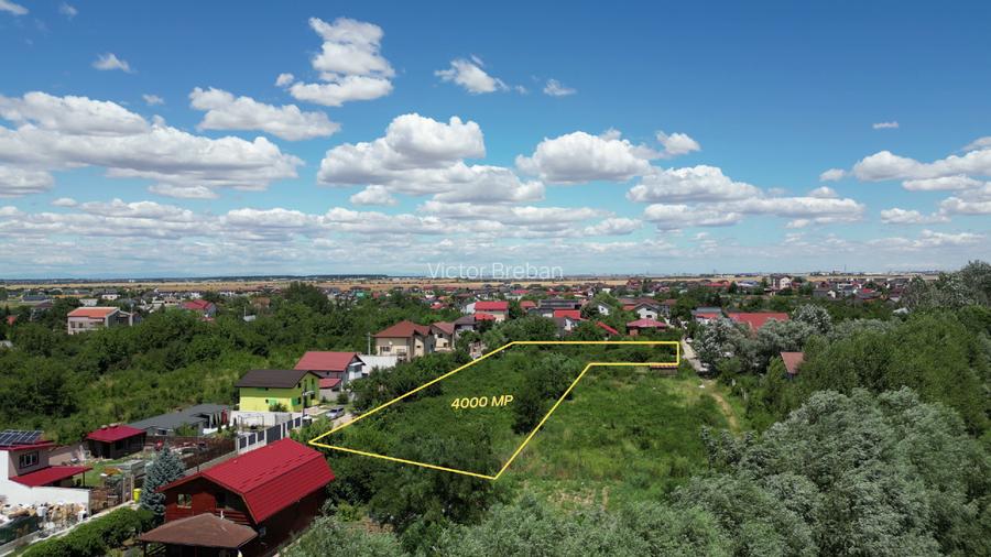 Parcele de 1000-4000mp cu acces facil și utilități complete - 4