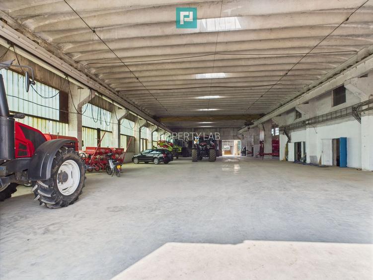 Complex industrial cu hale și teren  în Orțișoara - 2