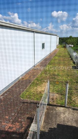 Spatiu industrial productie/ depozitare, Timiș - 28