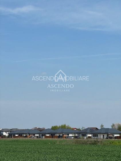 Vanzare teren 7.000 mp – Buftea, zona Tămași | lângă pădure - 8