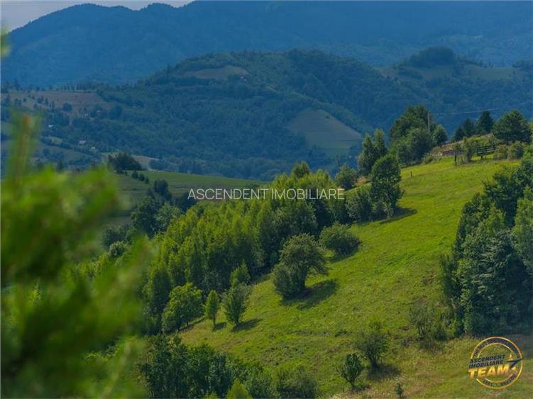 FILM! Cu view panoramic la 360 grade, teren 10.335 mp, Poiana Marului - 3