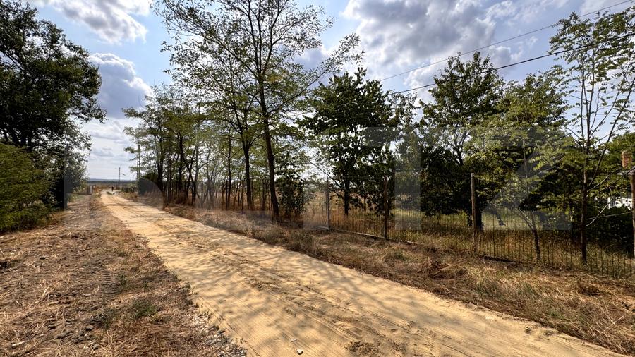 Teren EV si IV cu casa, 29.600 mp, utilitati si acces facil, Albesti - 2