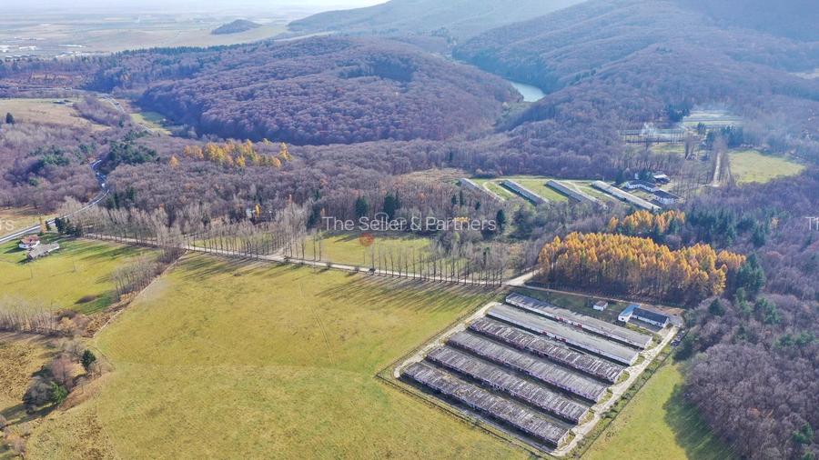 Teren Intravilan - Amplasare Unica - 16