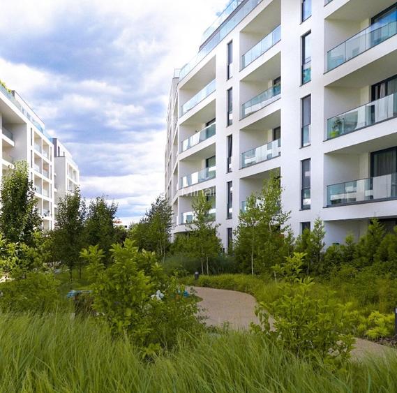 3 CAMERE LUX THE IVY Băneasa | Prima închiriere | Vedere liberă natură - 2