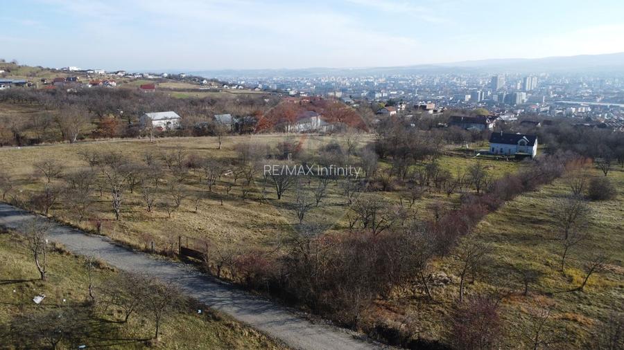 Teren 20.146 mp Dâmbu Rotund (Lomb).Extravilan.Potențial rezidențial - 4