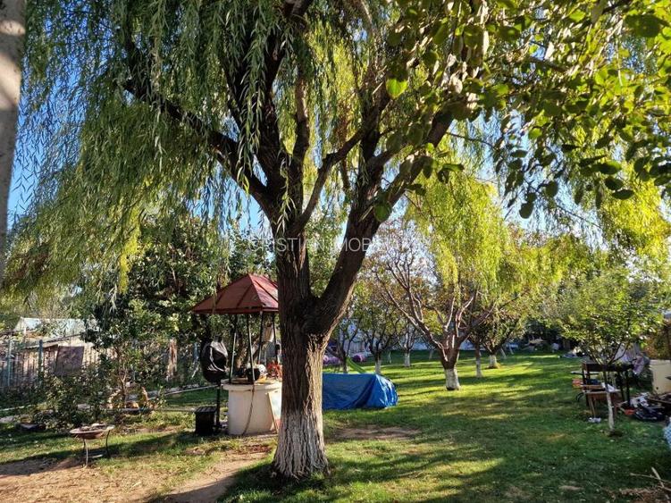 Vila P+M, Cazasu- MOBILATA utilata - 12