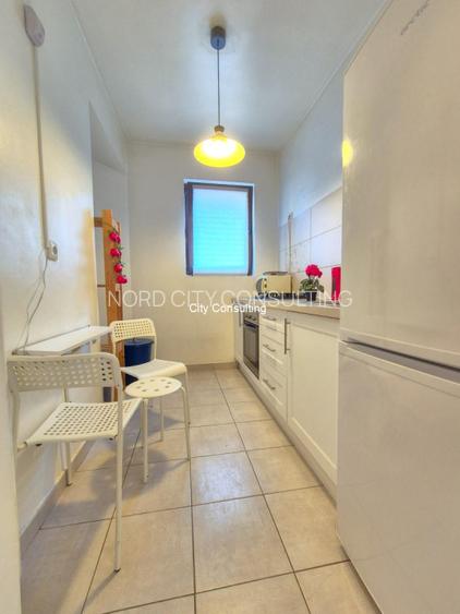 Vanzare apartament cu 3 camere Chismigiu - 7
