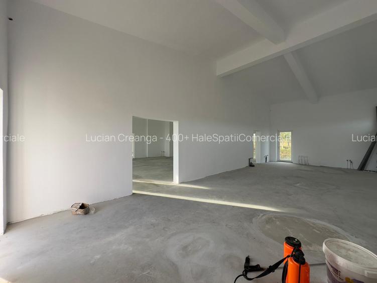 Spatiu magazin, productie, 202mp, Sipote - 16