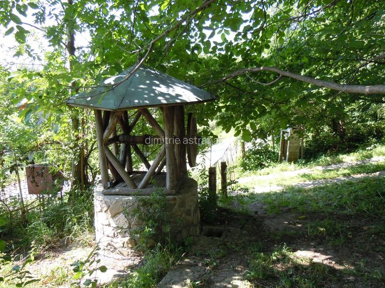 DE VANZARE PROPRIETATE DEOSEBITA - 4